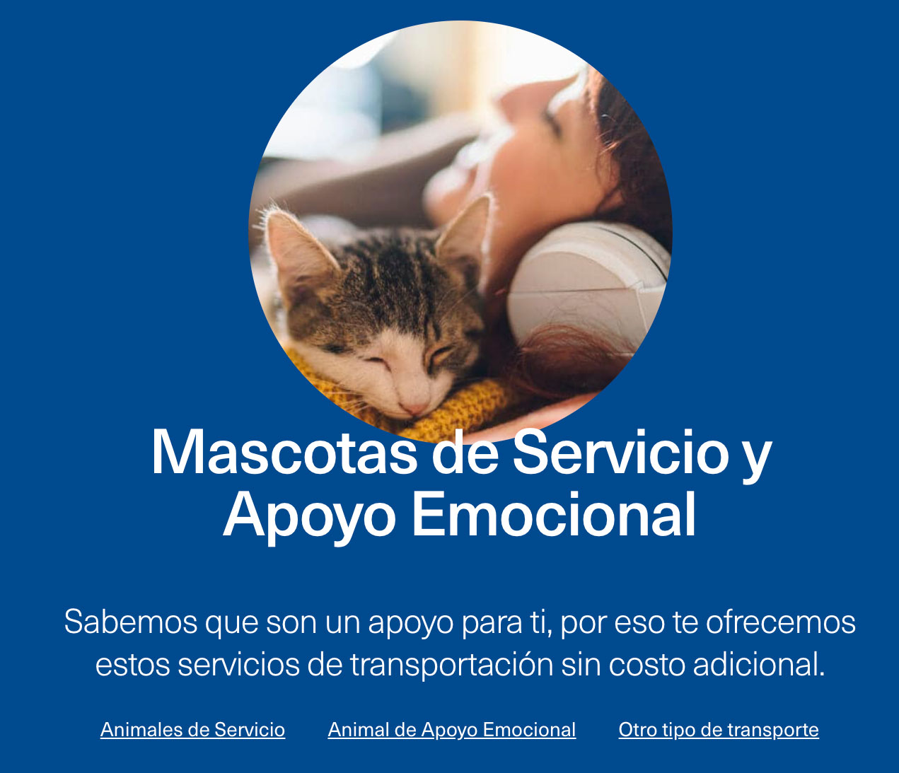 Animales De Apoyo Emocional Perros Que Si Pueden Volar Junto A Sus Duenos En Algunos Paises Srperro La Guia Para Animales Urbanos