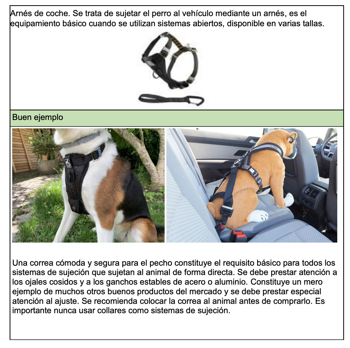 Viajar con tu perro en coche: 5 consejos de seguridad