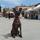 Frida_EgaraShepherd  