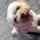 Montse la familia humana de Lola